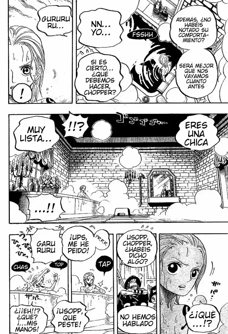 One Piece Capitulo 446 página 13