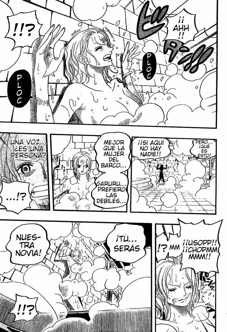 One Piece Capitulo 446 página 14