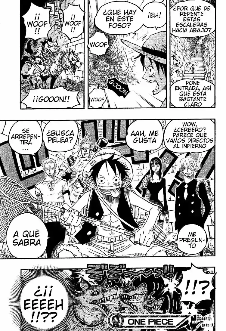 One Piece Capitulo 446 página 18