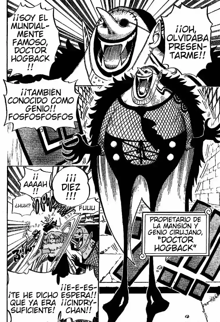 One Piece Capitulo 446 página 5