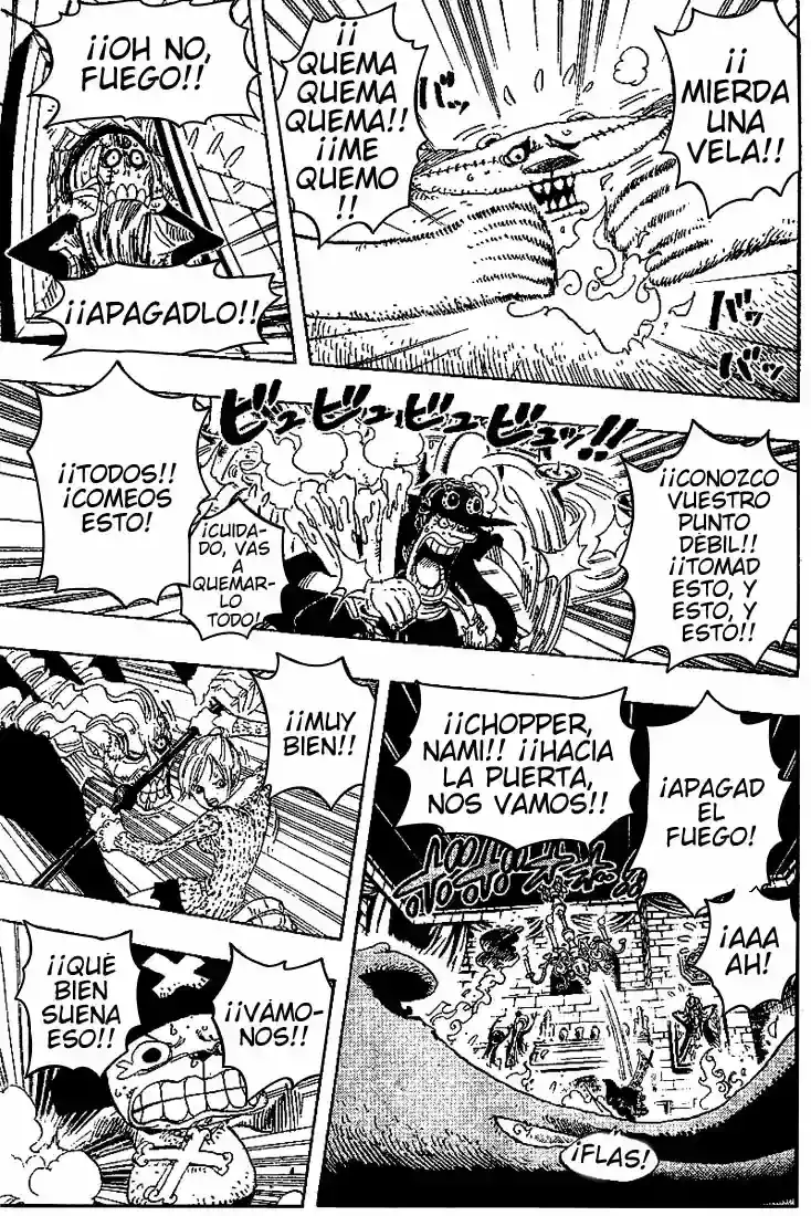 One Piece Capitulo 447 página 15