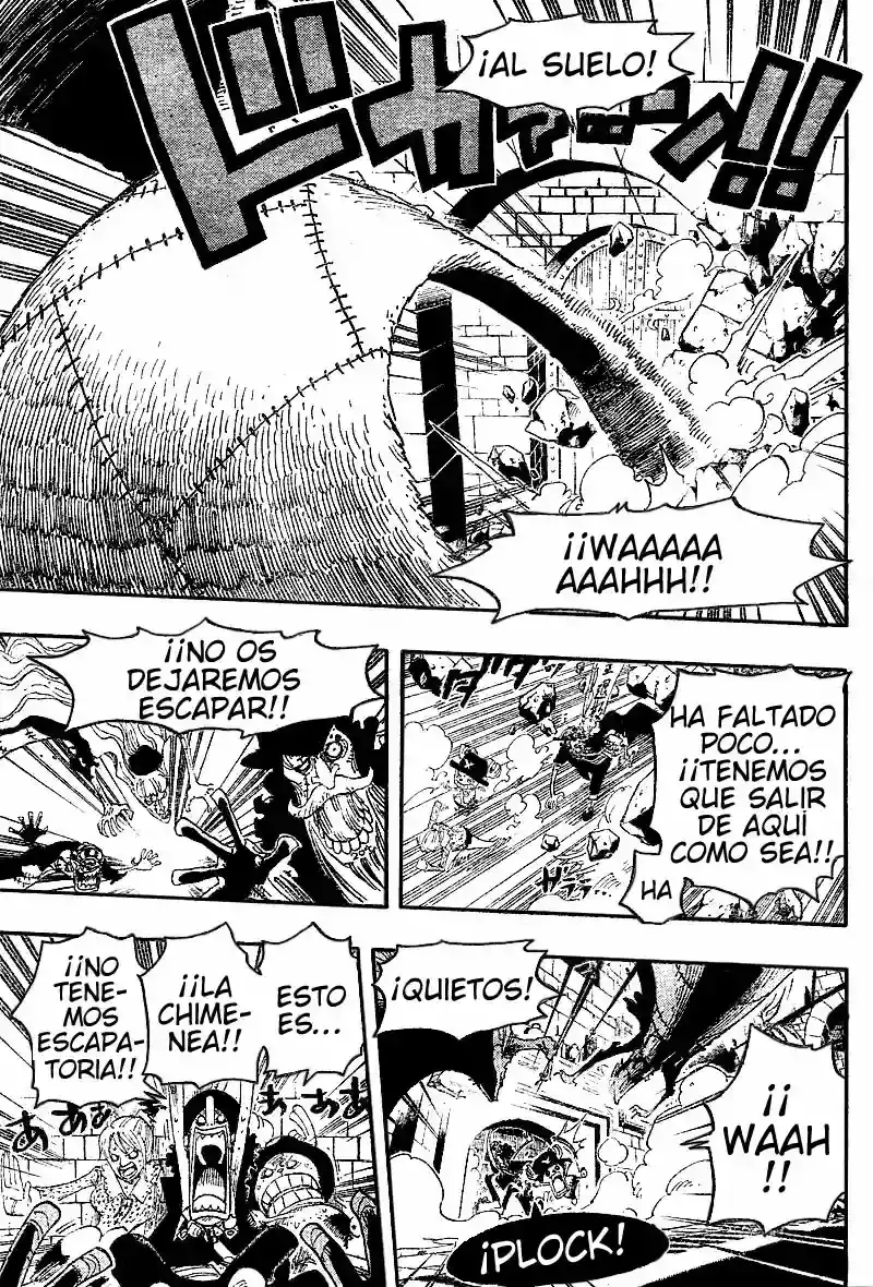 One Piece Capitulo 447 página 17