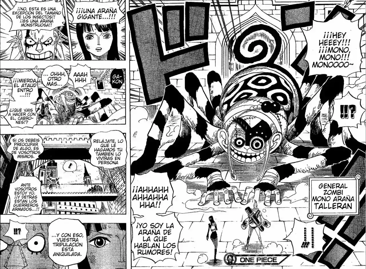 One Piece Capitulo 452 página 17