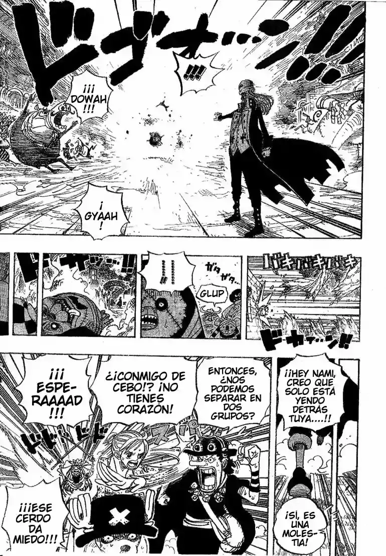 One Piece Capitulo 453 página 11