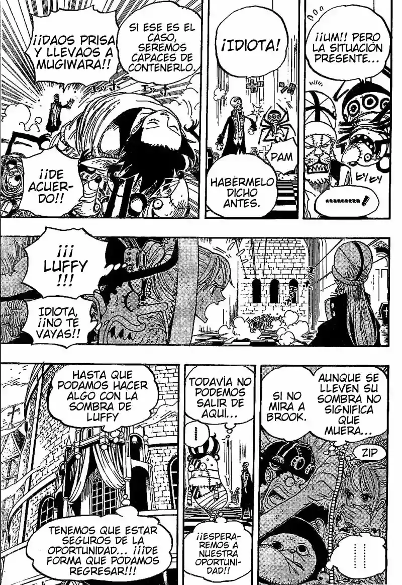 One Piece Capitulo 456 página 13