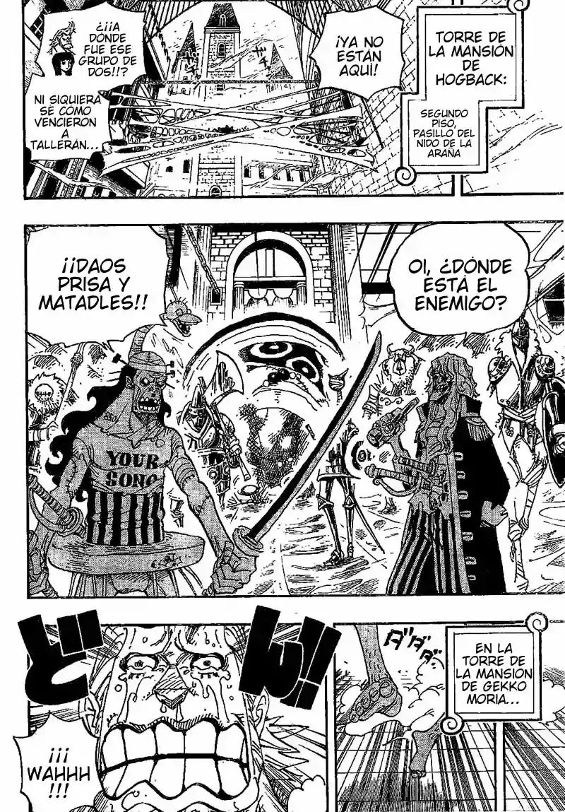 One Piece Capitulo 456 página 14