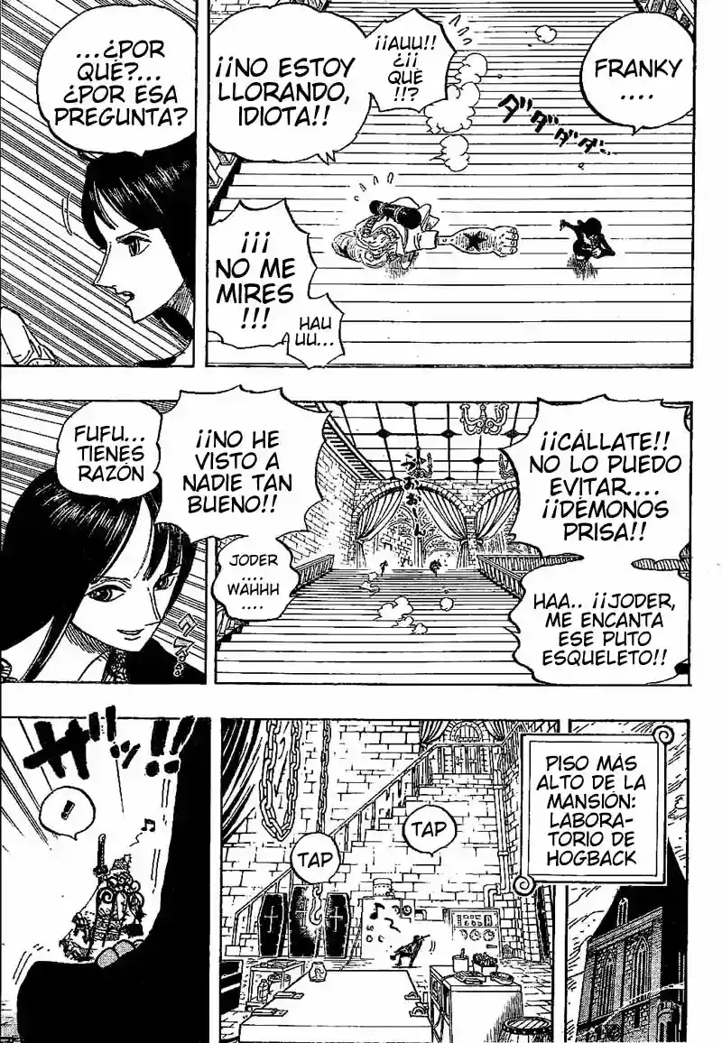 One Piece Capitulo 456 página 15