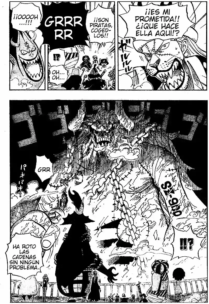 One Piece Capitulo 457 página 10