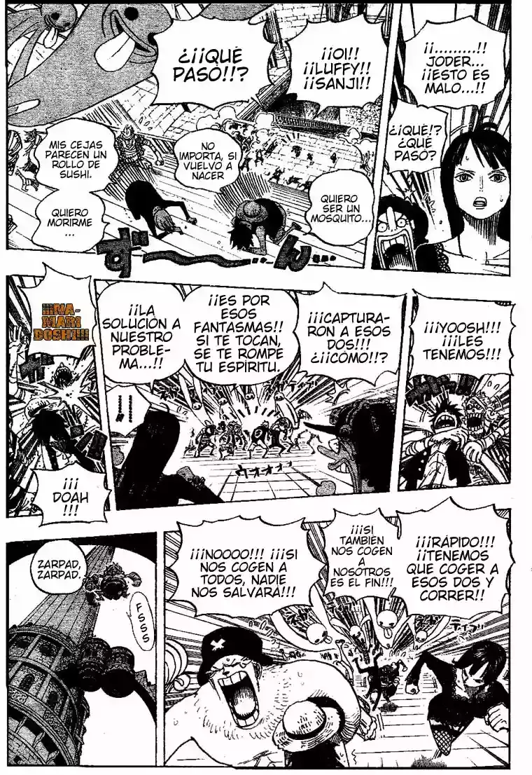 One Piece Capitulo 460 página 15