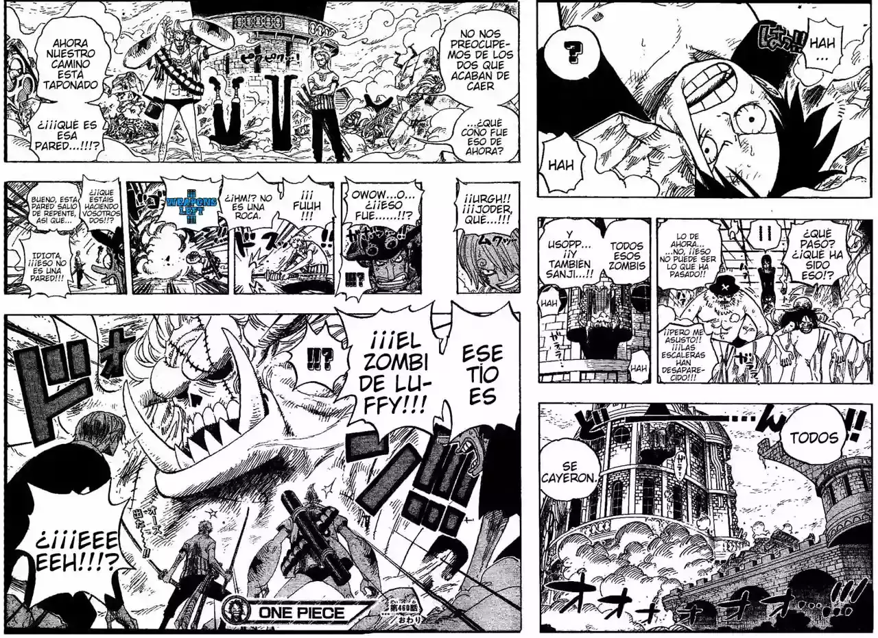 One Piece Capitulo 460 página 17