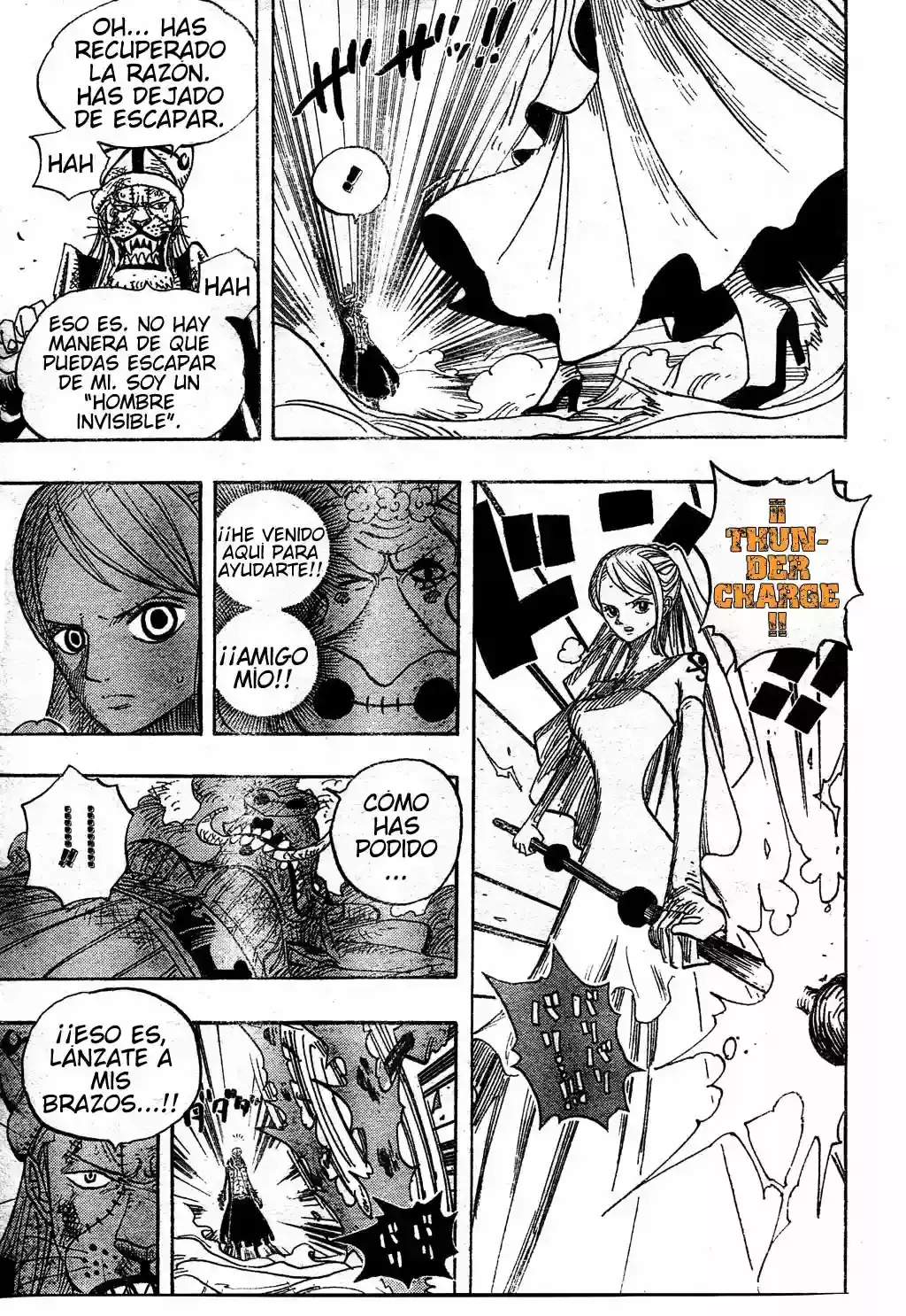 One Piece Capitulo 471 página 13