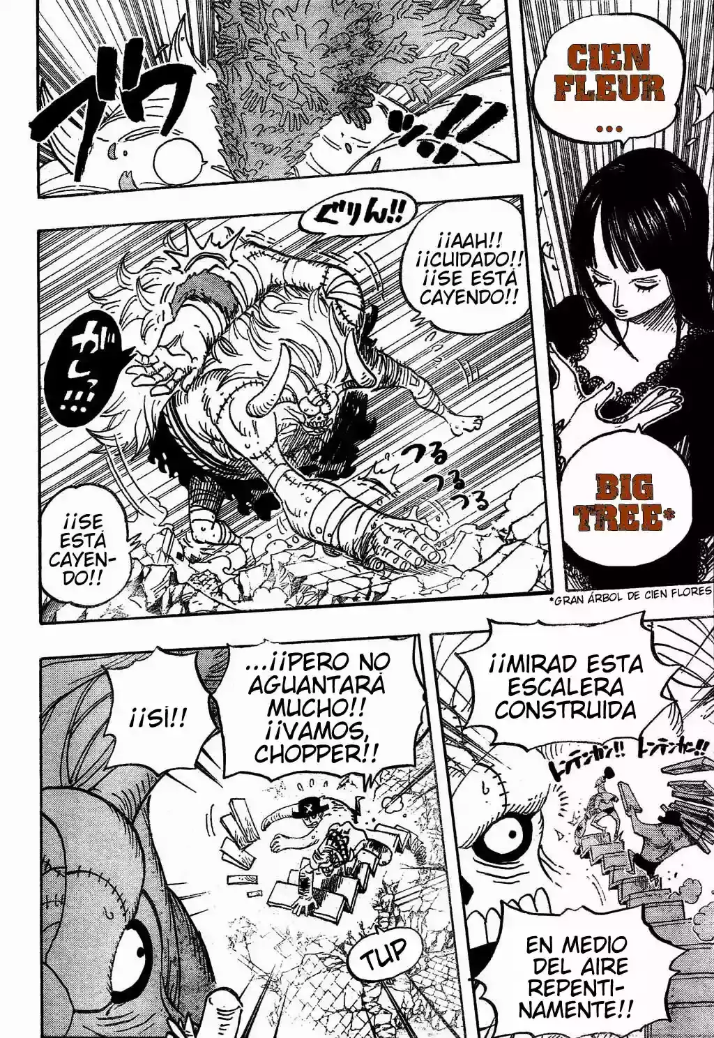 One Piece Capitulo 472 página 11