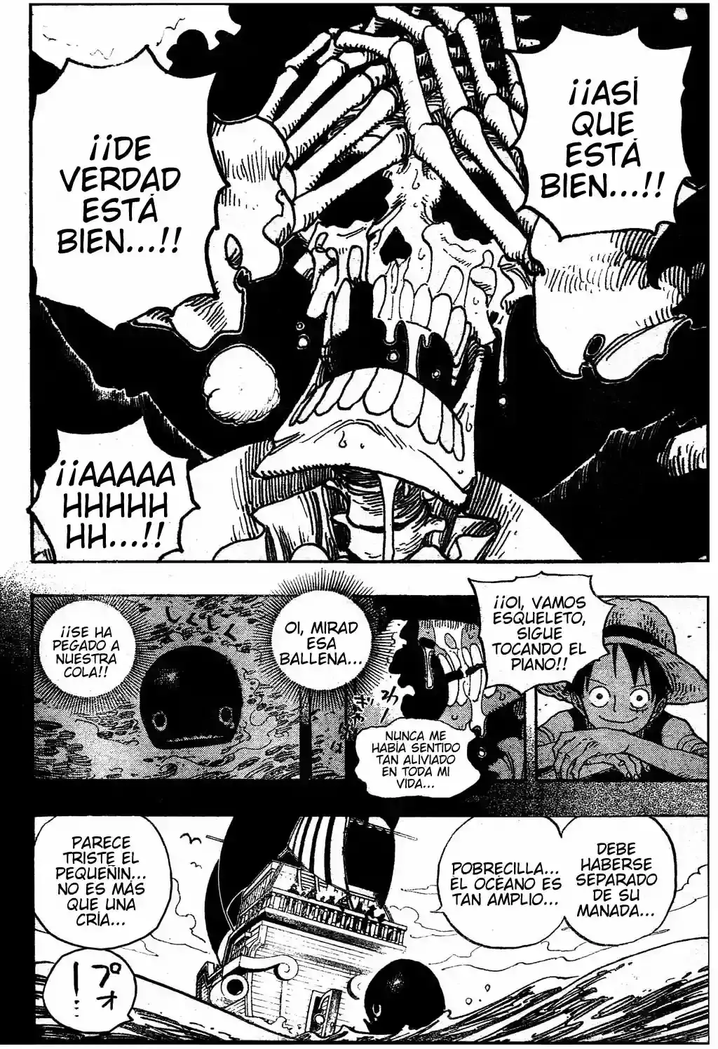 One Piece Capitulo 486 página 18