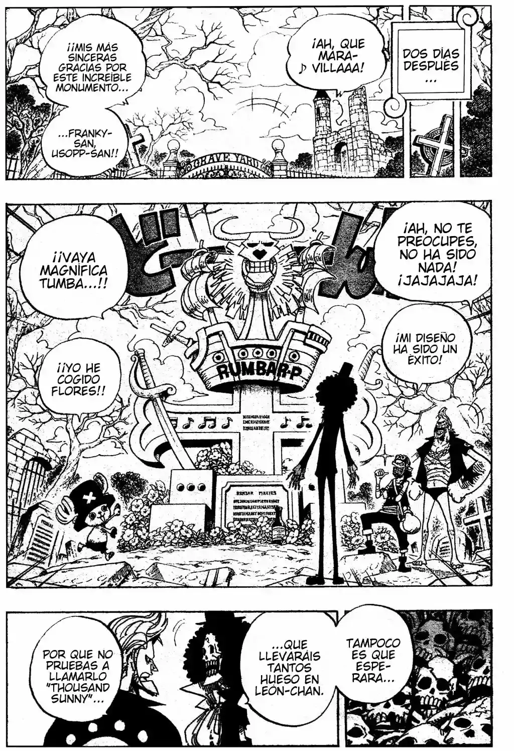 One Piece Capitulo 489 página 10