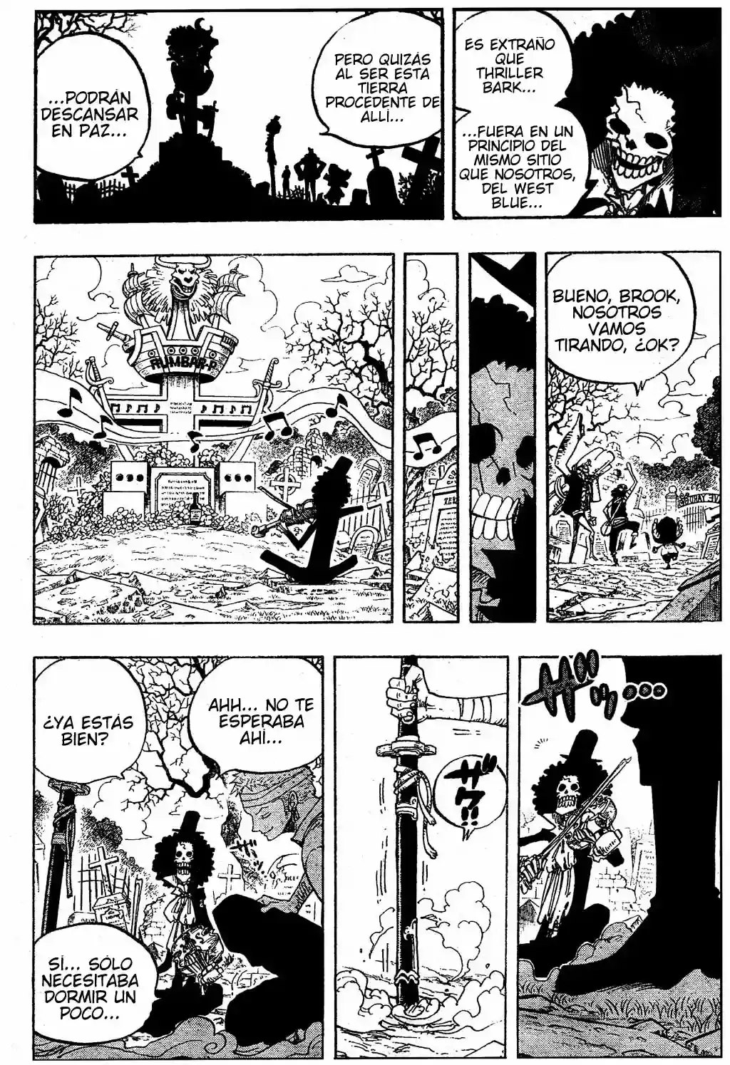 One Piece Capitulo 489 página 11