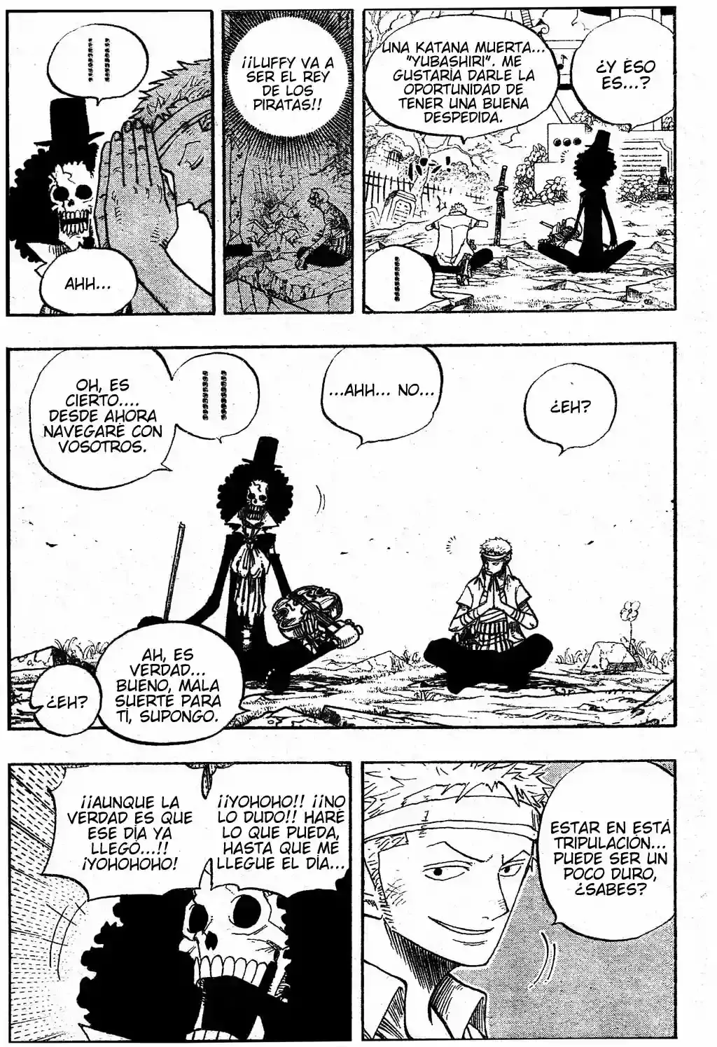 One Piece Capitulo 489 página 12
