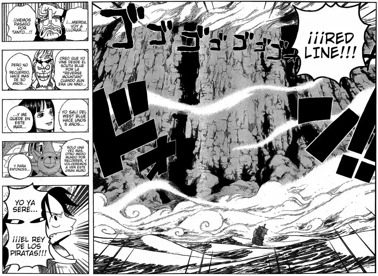 One Piece Capitulo 490 página 10
