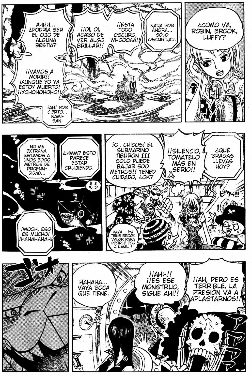 One Piece Capitulo 490 página 12