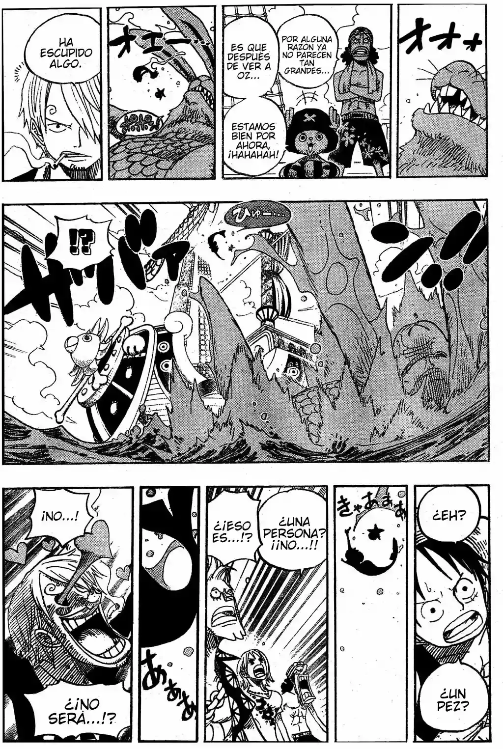One Piece Capitulo 490 página 16