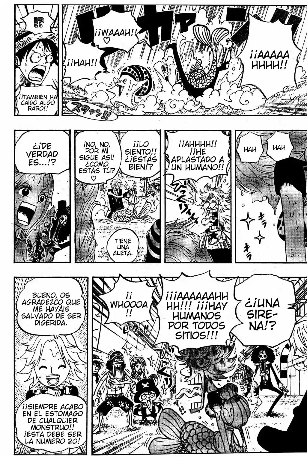 One Piece Capitulo 490 página 17