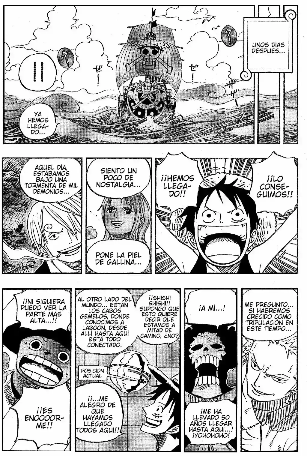 One Piece Capitulo 490 página 9