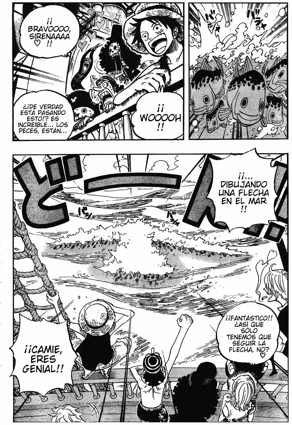 One Piece Capitulo 491 página 12