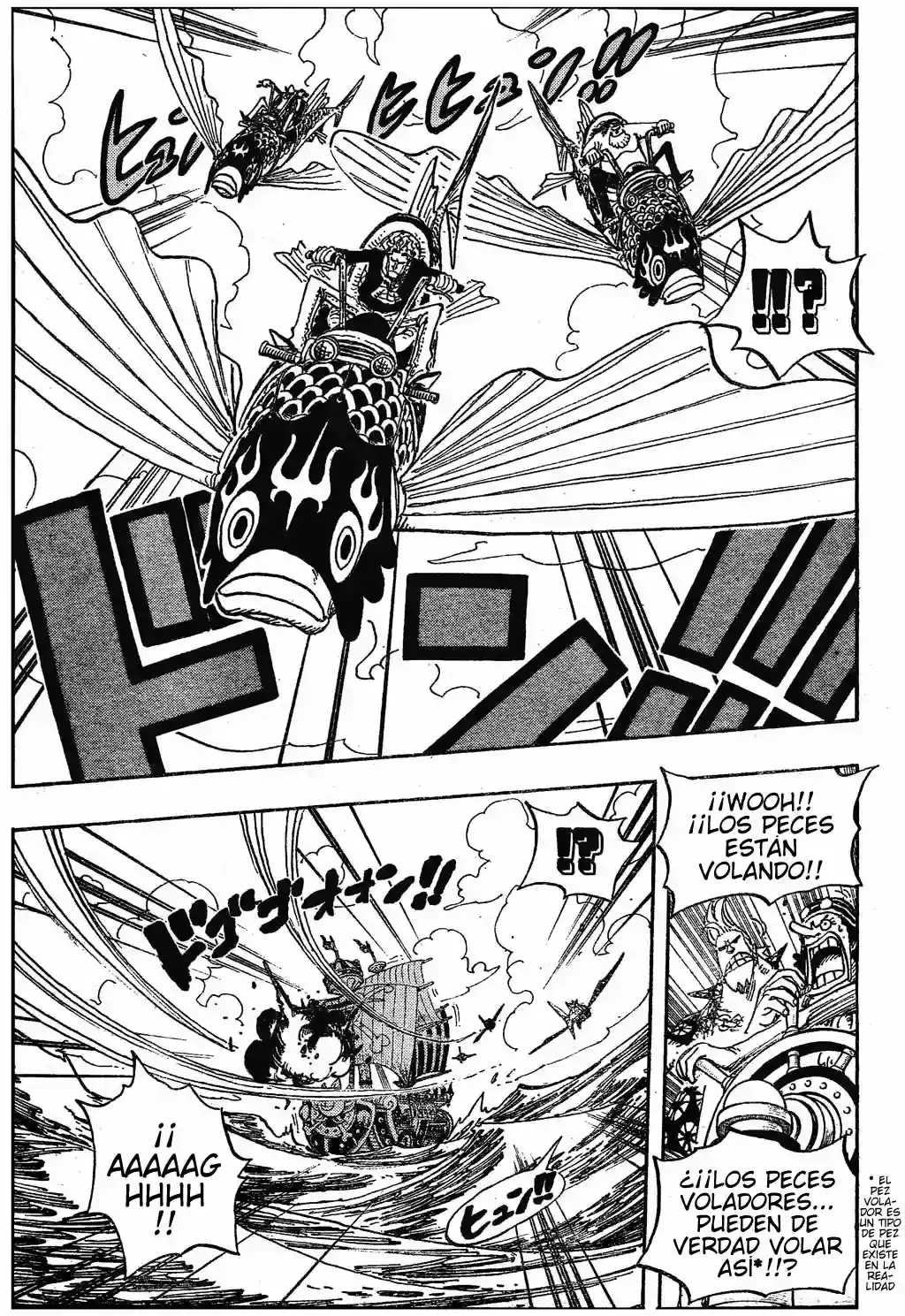 One Piece Capitulo 491 página 17
