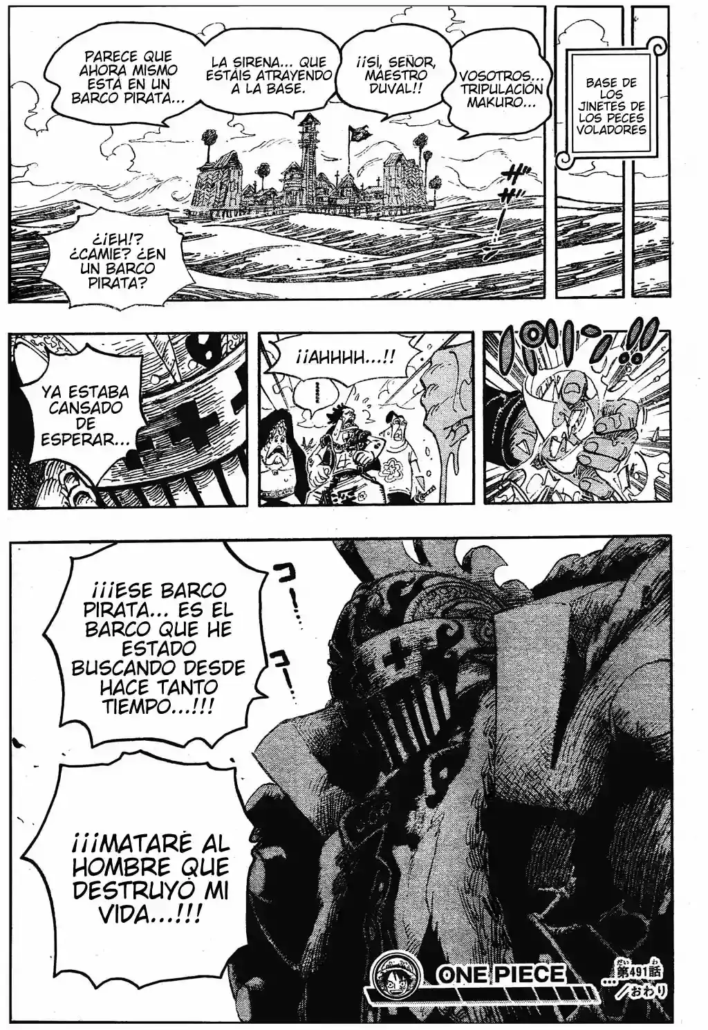 One Piece Capitulo 491 página 19