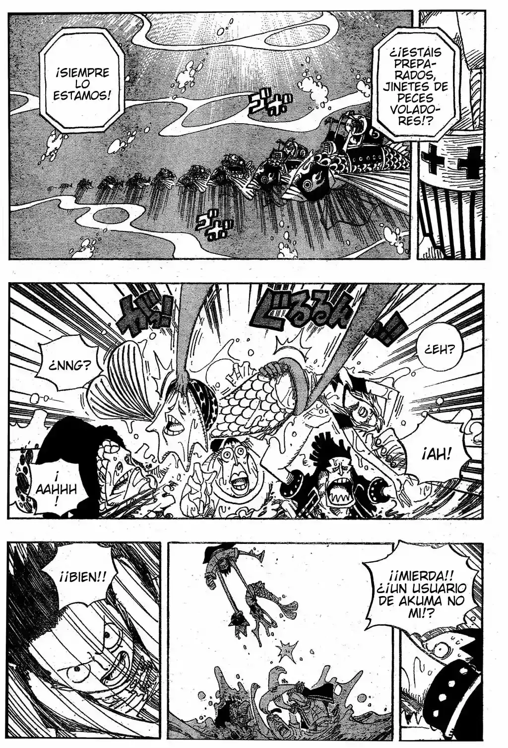 One Piece Capitulo 492 página 17
