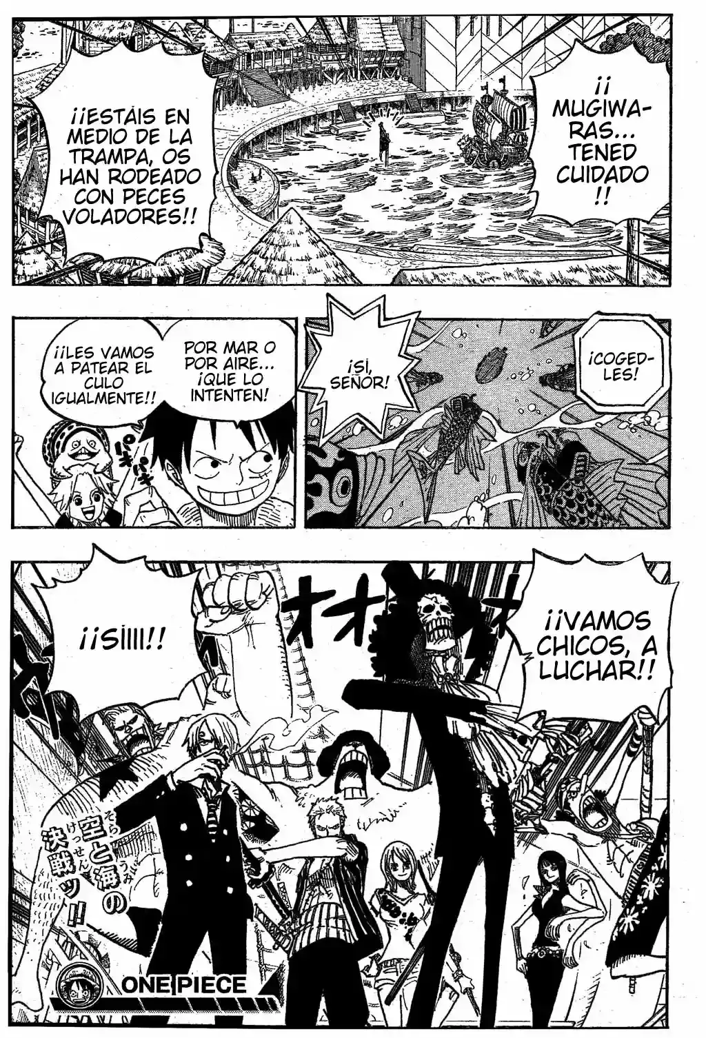 One Piece Capitulo 492 página 19