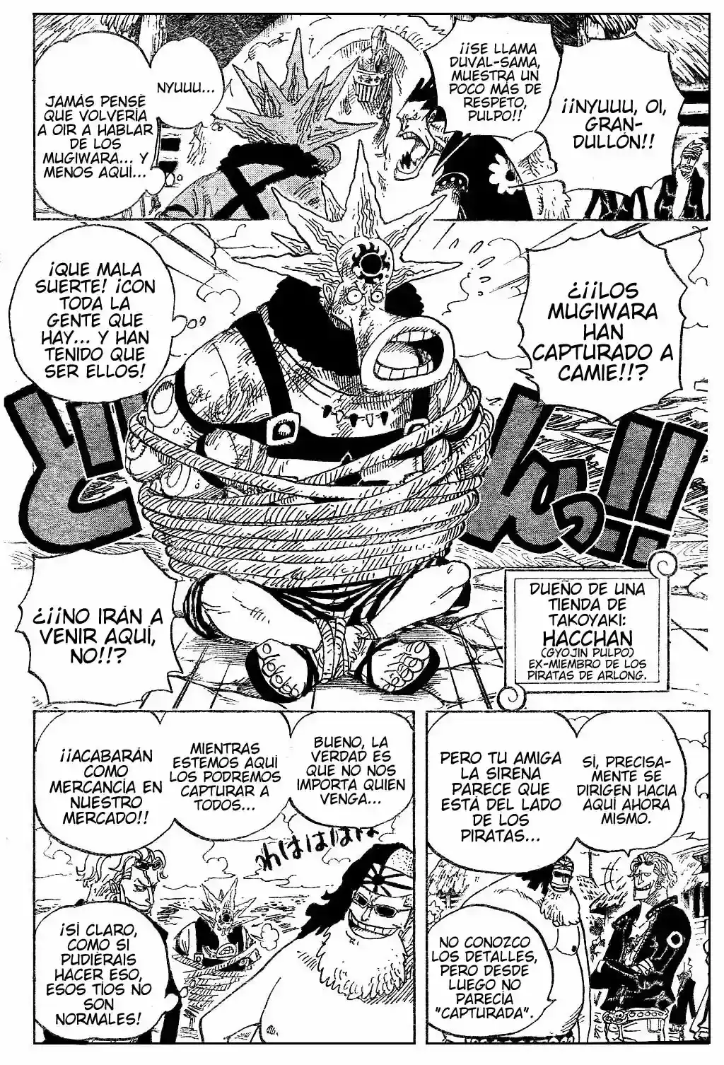One Piece Capitulo 492 página 8