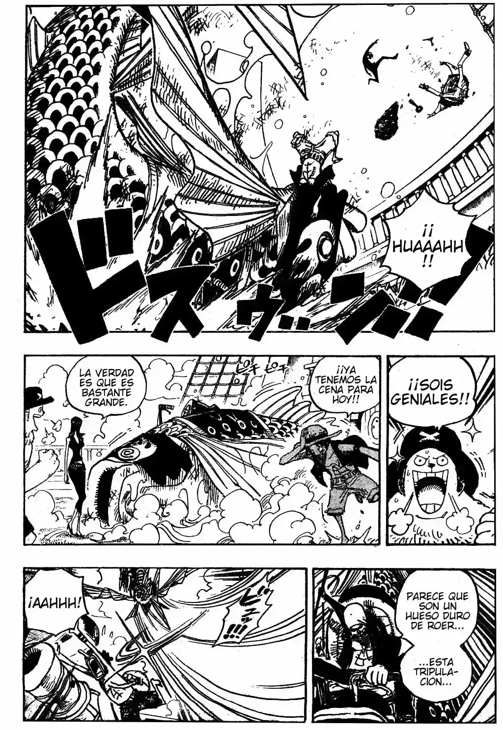 One Piece Capitulo 493 página 14