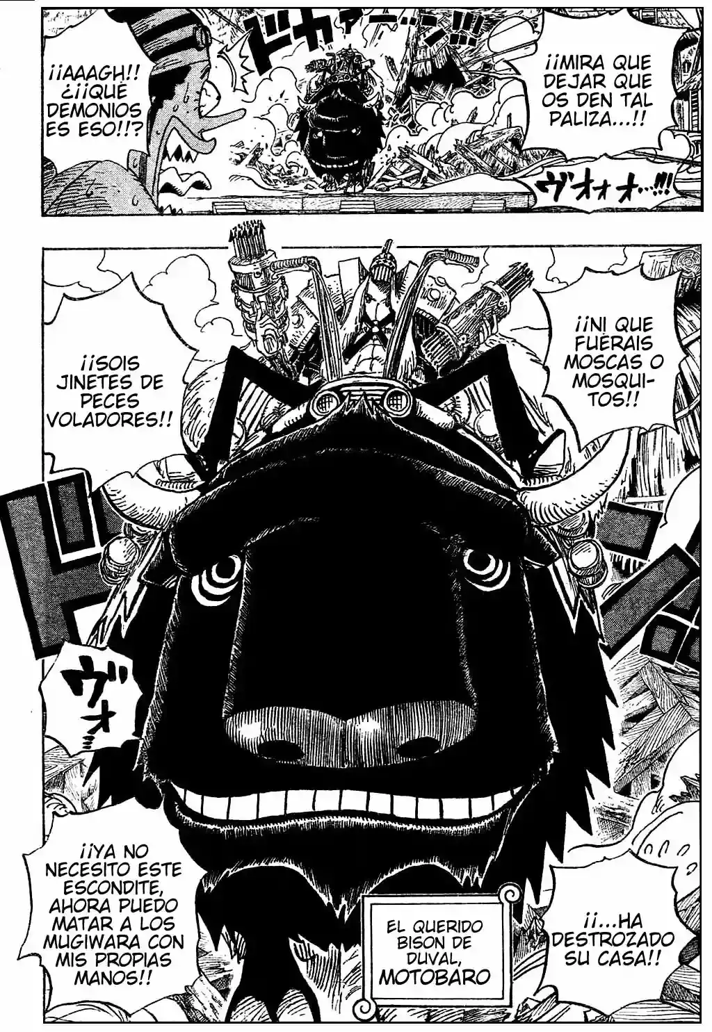 One Piece Capitulo 494 página 10