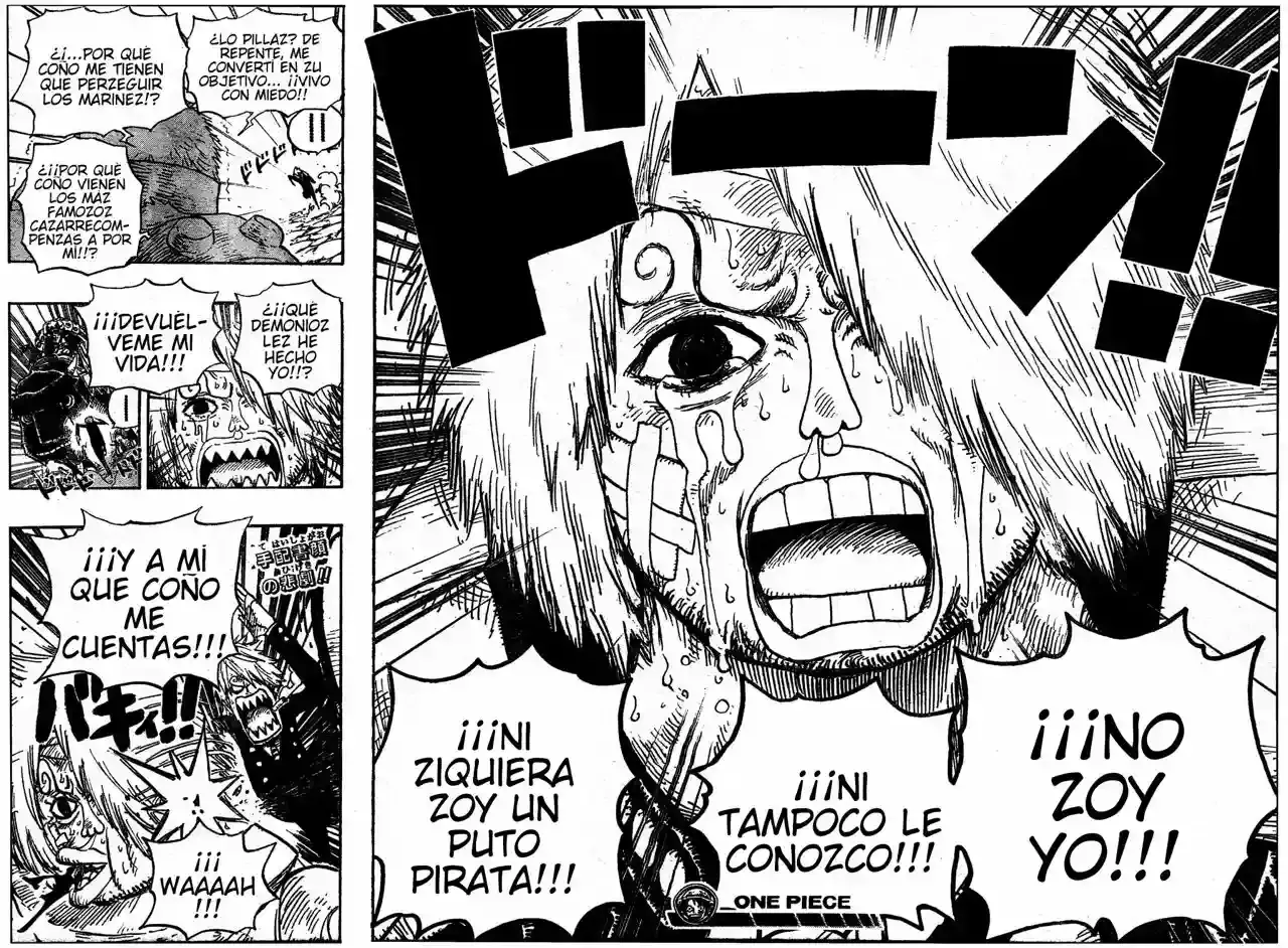One Piece Capitulo 494 página 18