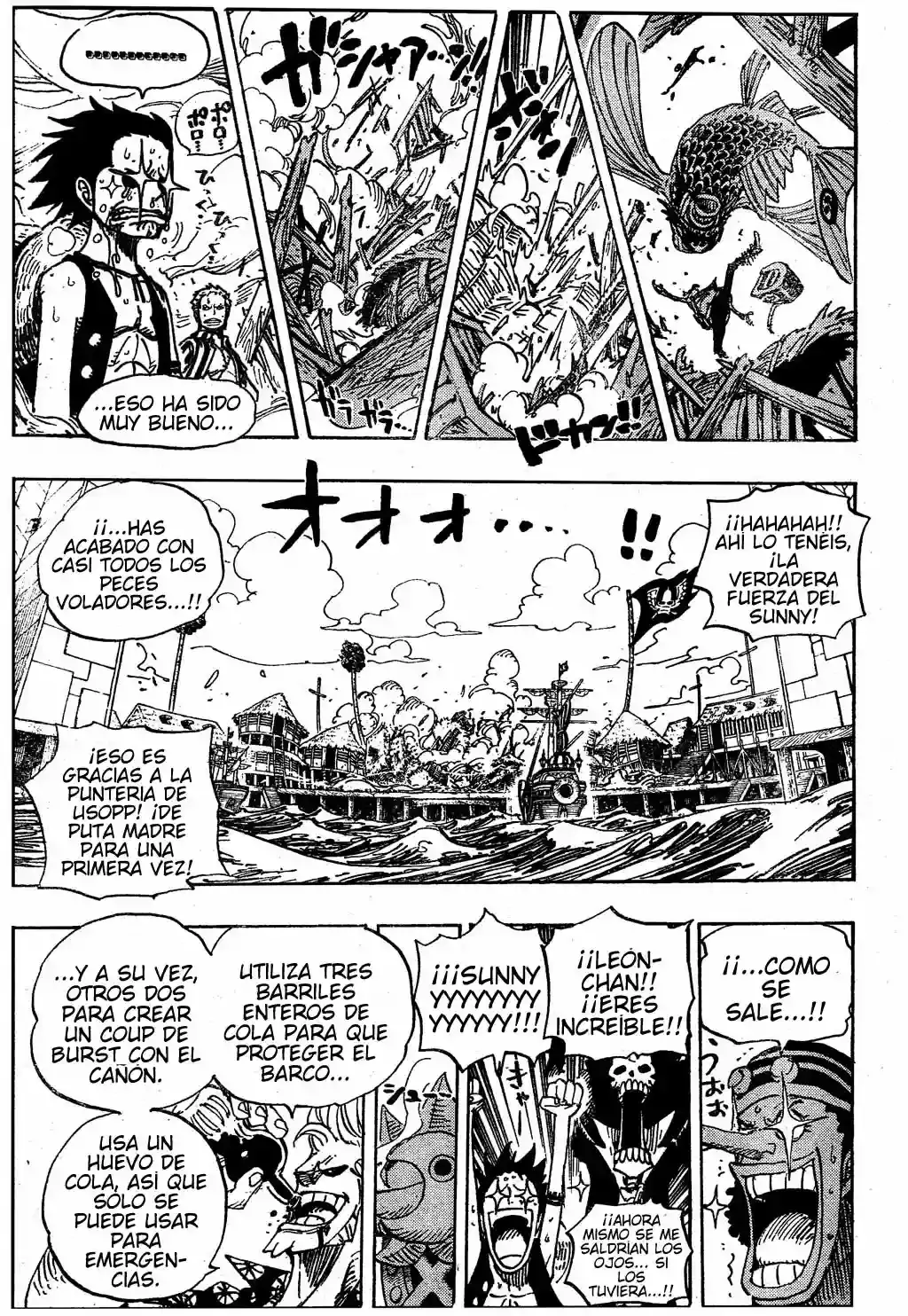 One Piece Capitulo 495 página 13