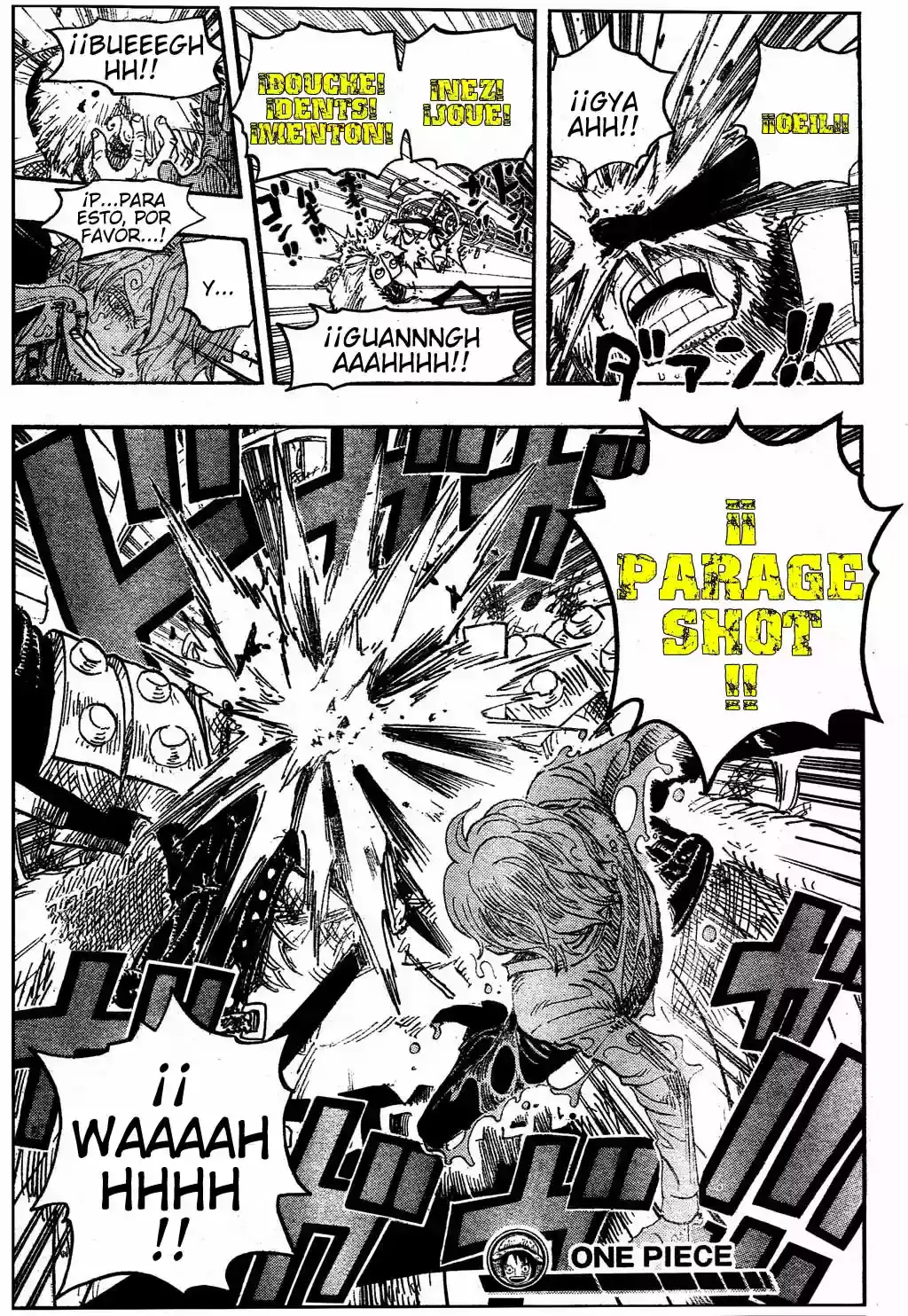 One Piece Capitulo 495 página 19