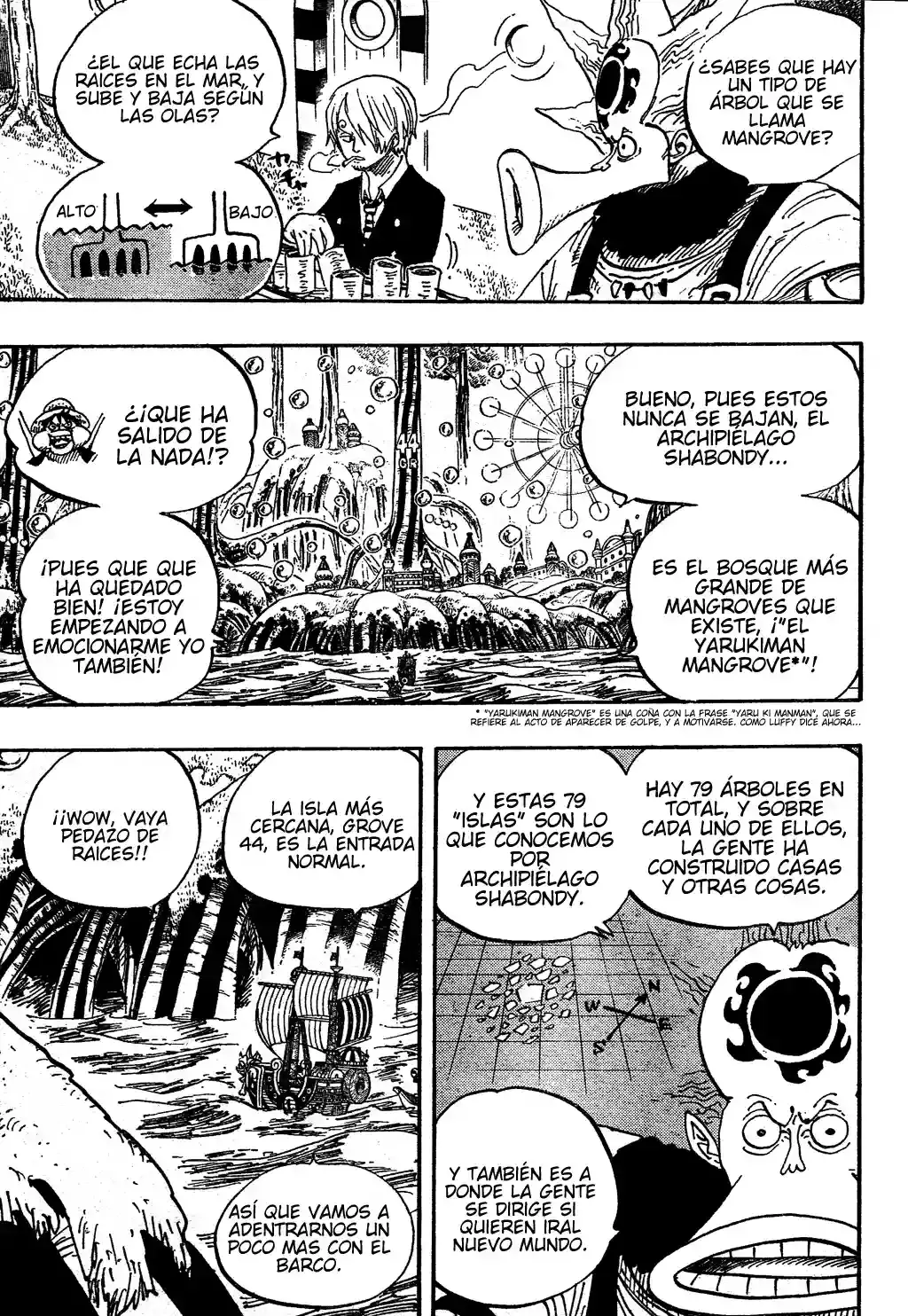 One Piece Capitulo 496 página 14