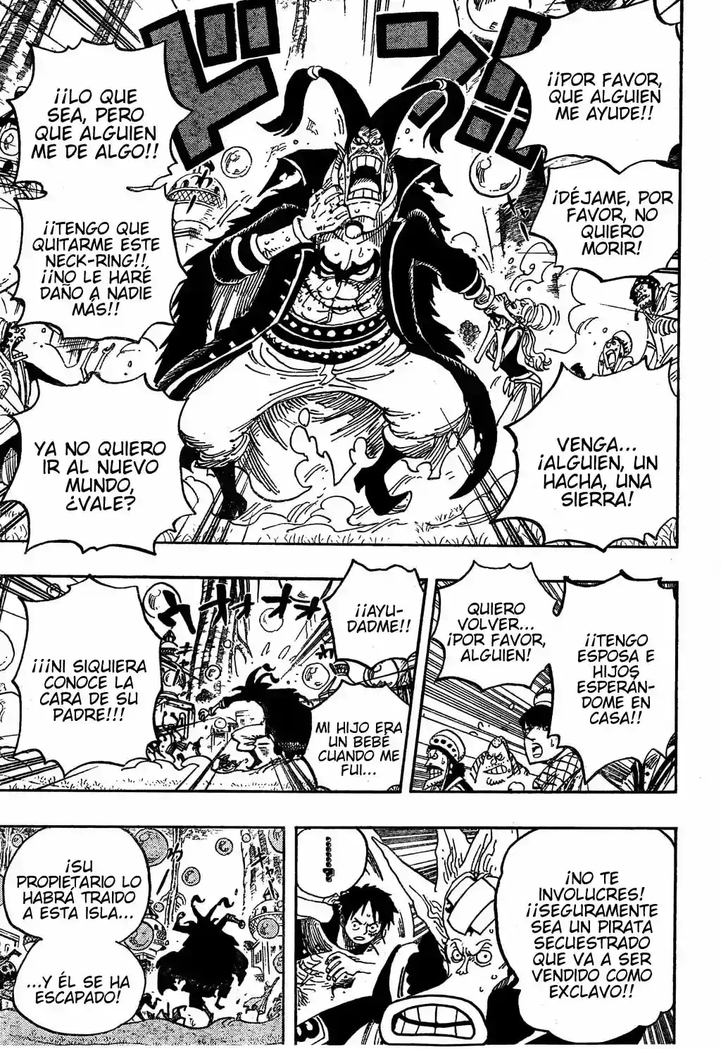 One Piece Capitulo 497 página 13