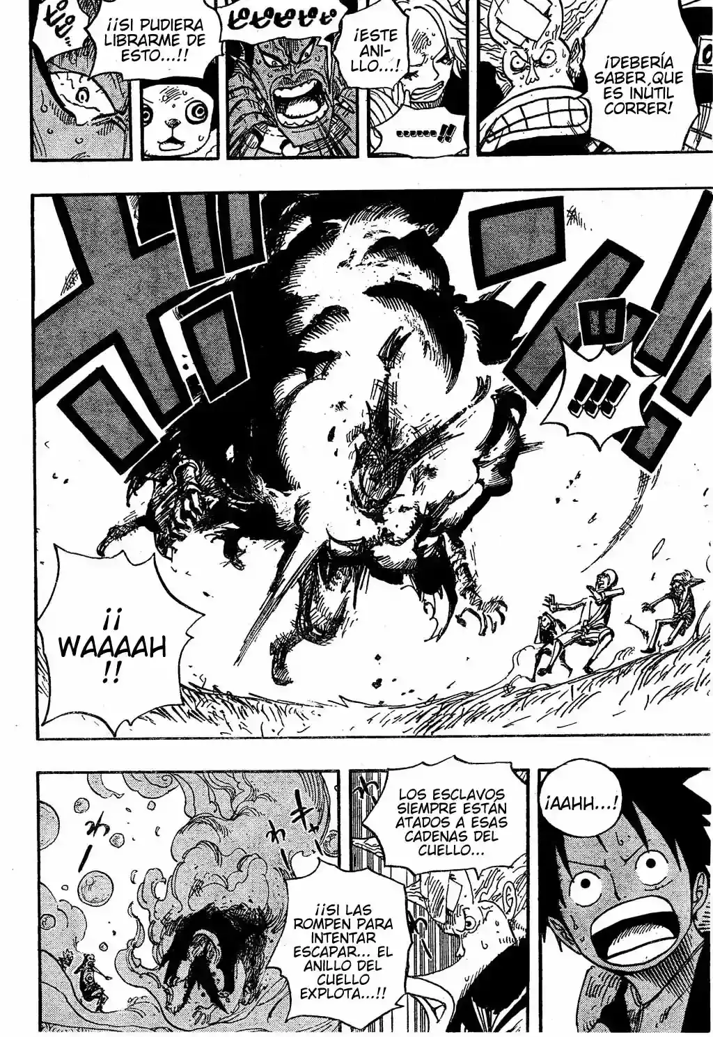 One Piece Capitulo 497 página 14
