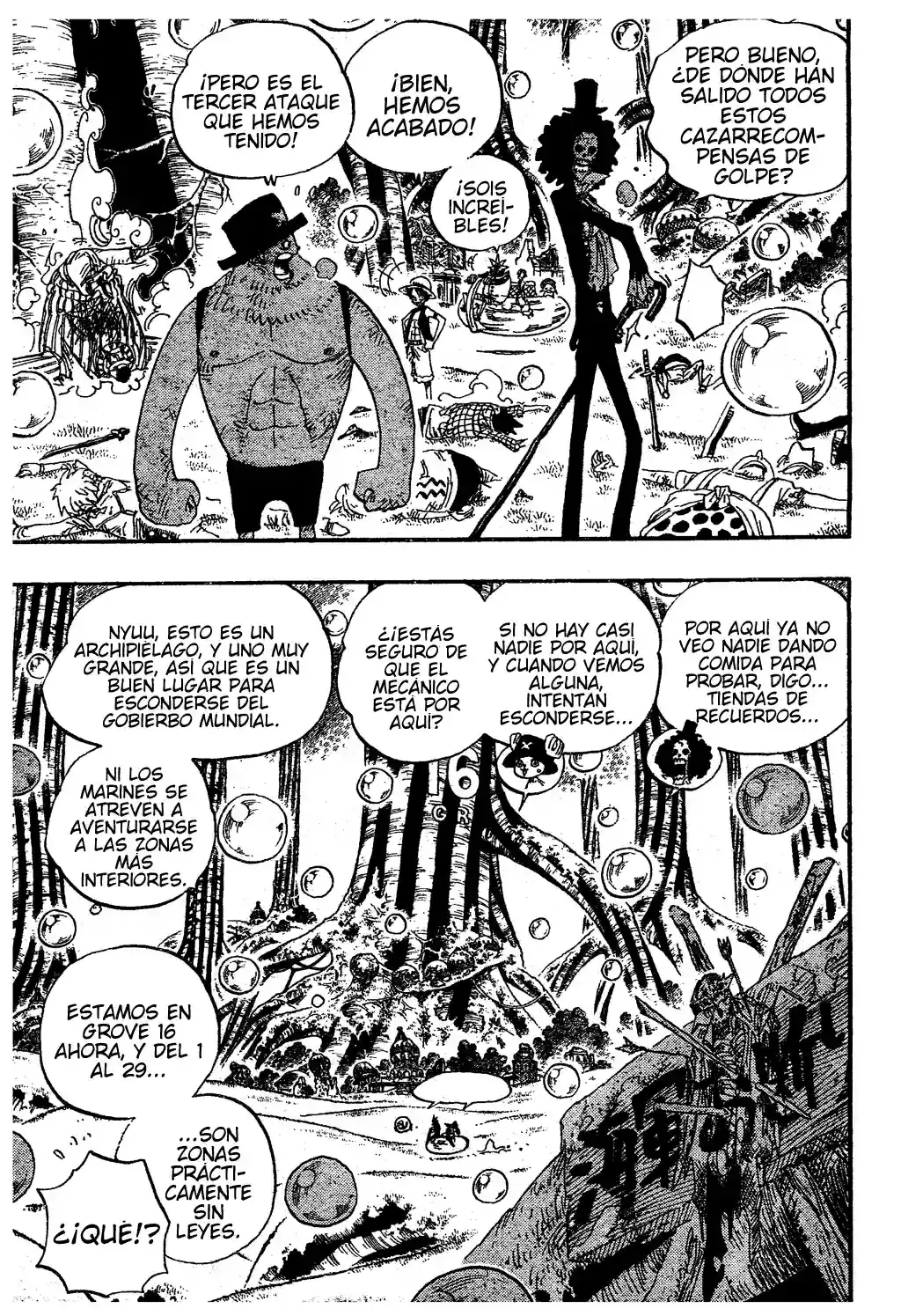 One Piece Capitulo 498 página 3