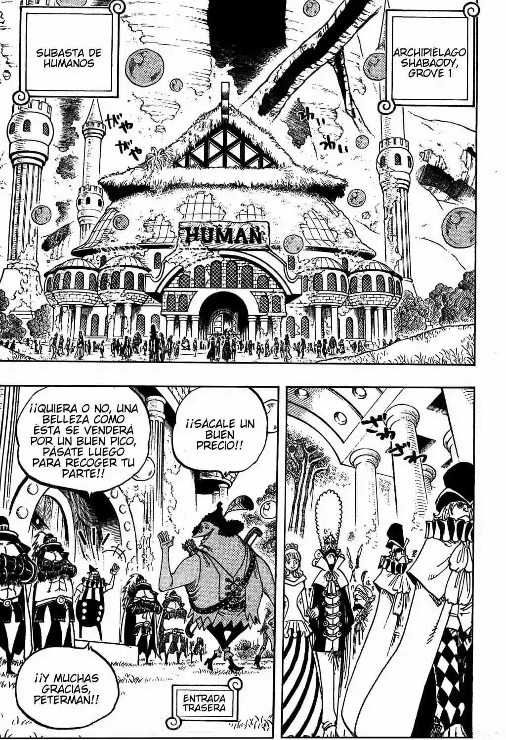 One Piece Capitulo 500 página 13