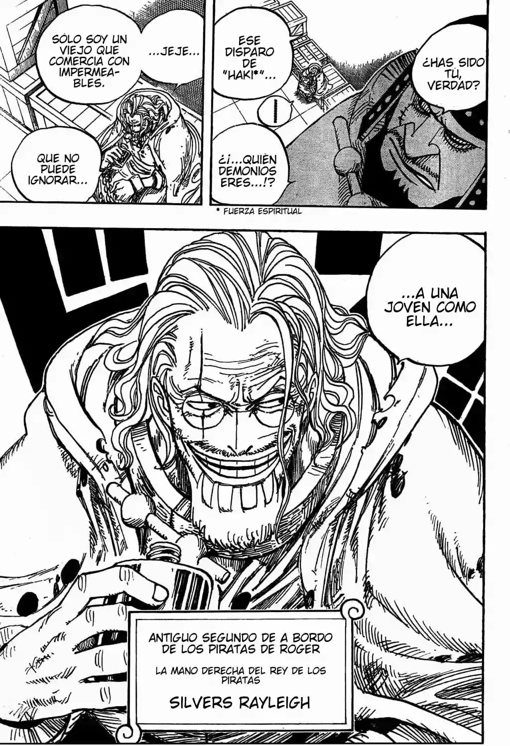 One Piece Capitulo 500 página 19