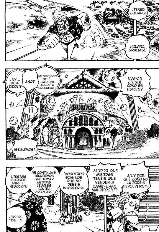One Piece Capitulo 501 página 11