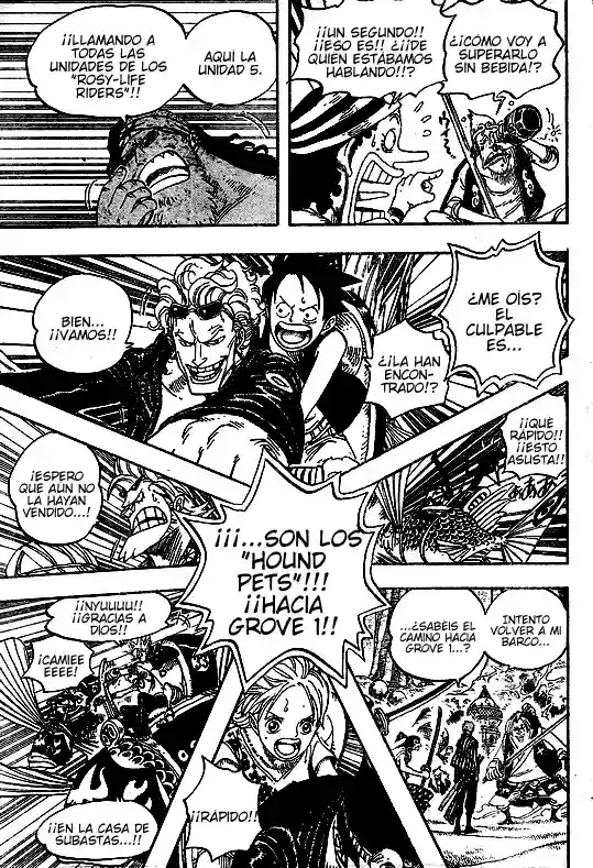 One Piece Capitulo 501 página 8