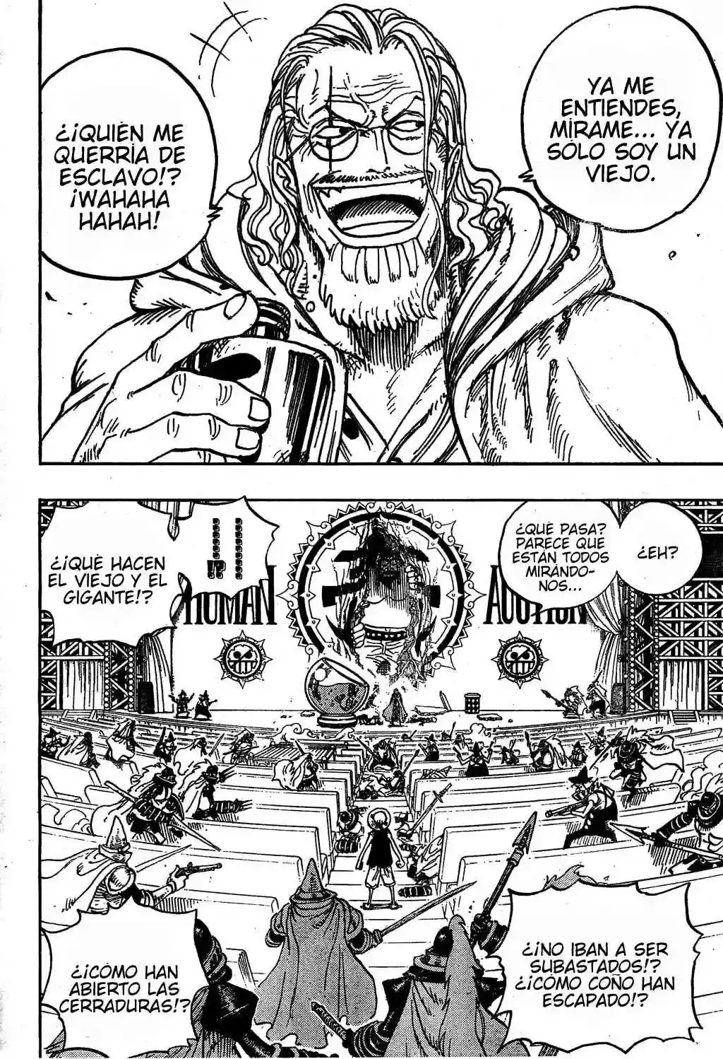 One Piece Capitulo 503 página 15