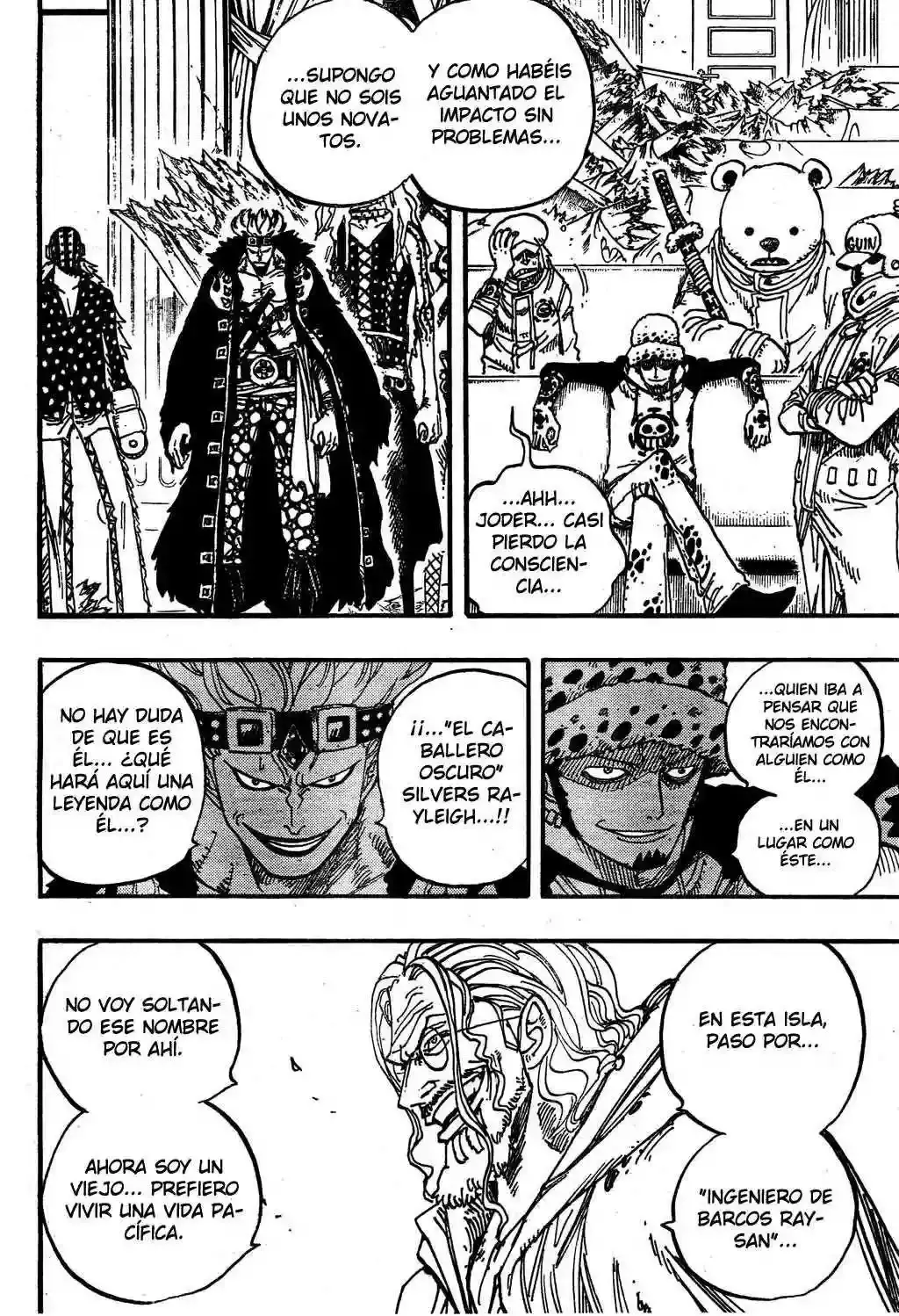 One Piece Capitulo 504 página 12