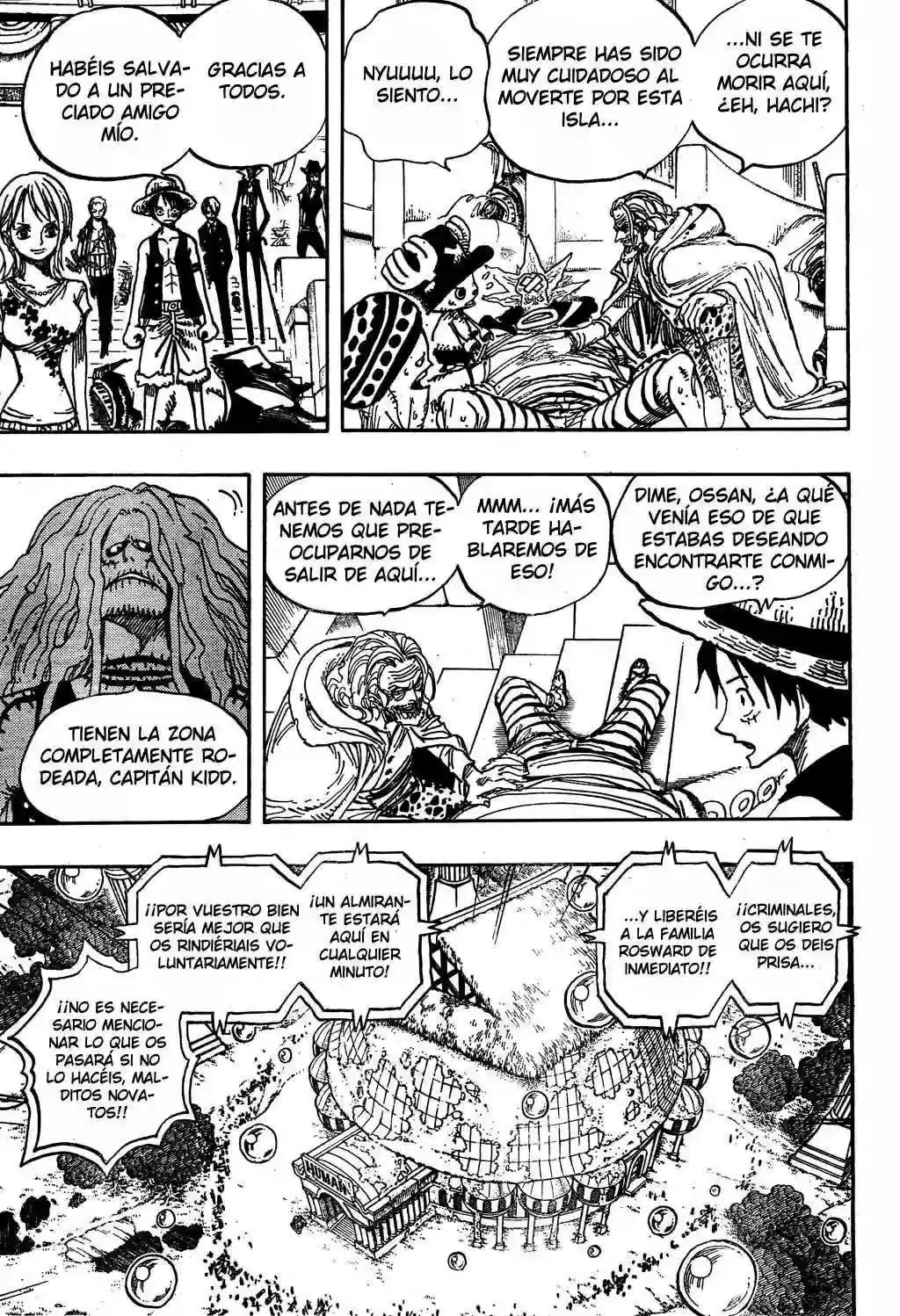 One Piece Capitulo 504 página 13