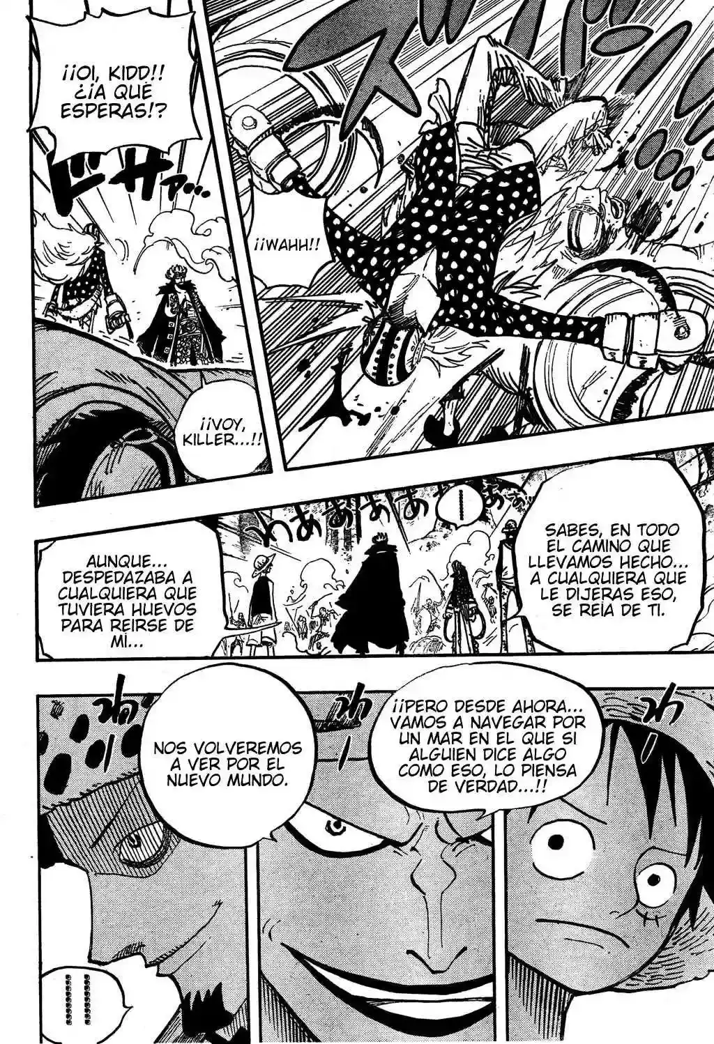 One Piece Capitulo 505 página 11