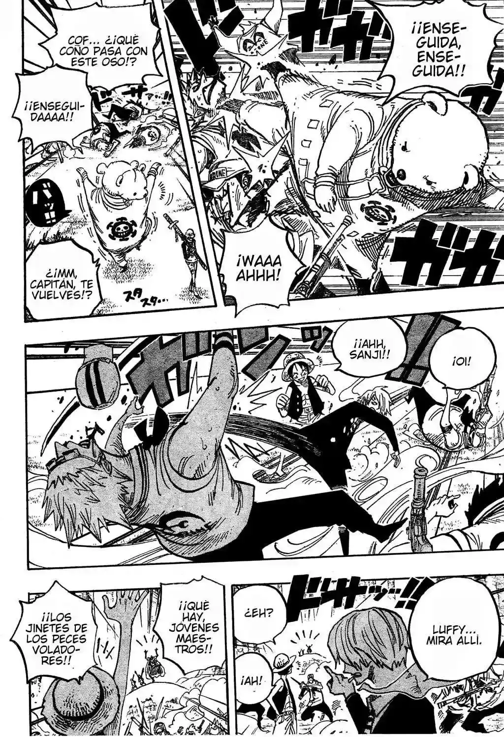 One Piece Capitulo 505 página 13