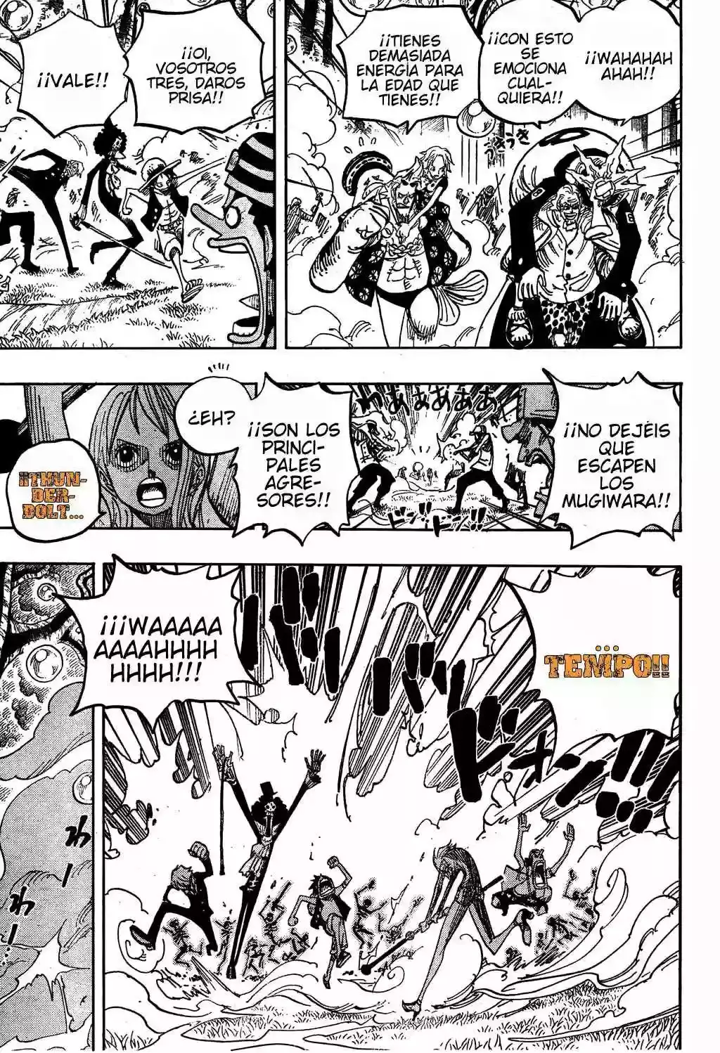 One Piece Capitulo 505 página 16